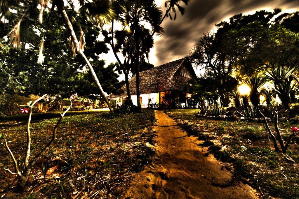 Amani Beach Resort Kutani Eksteriør billede