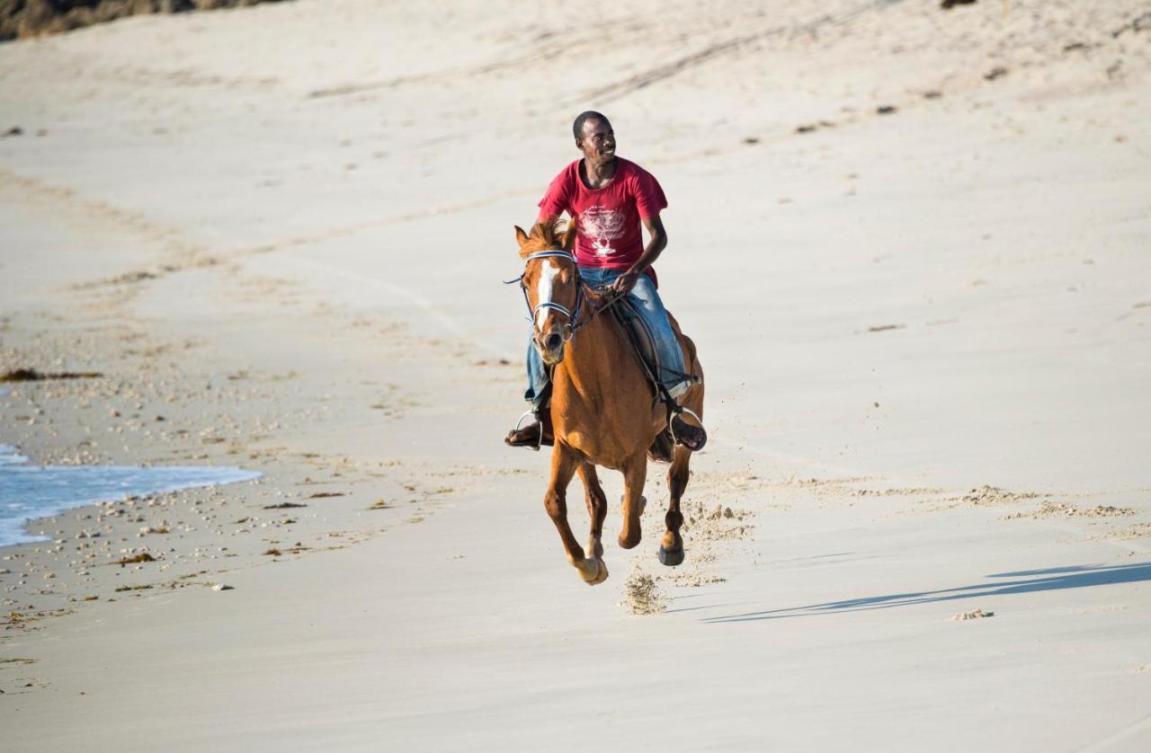 Amani Beach Resort Kutani Eksteriør billede