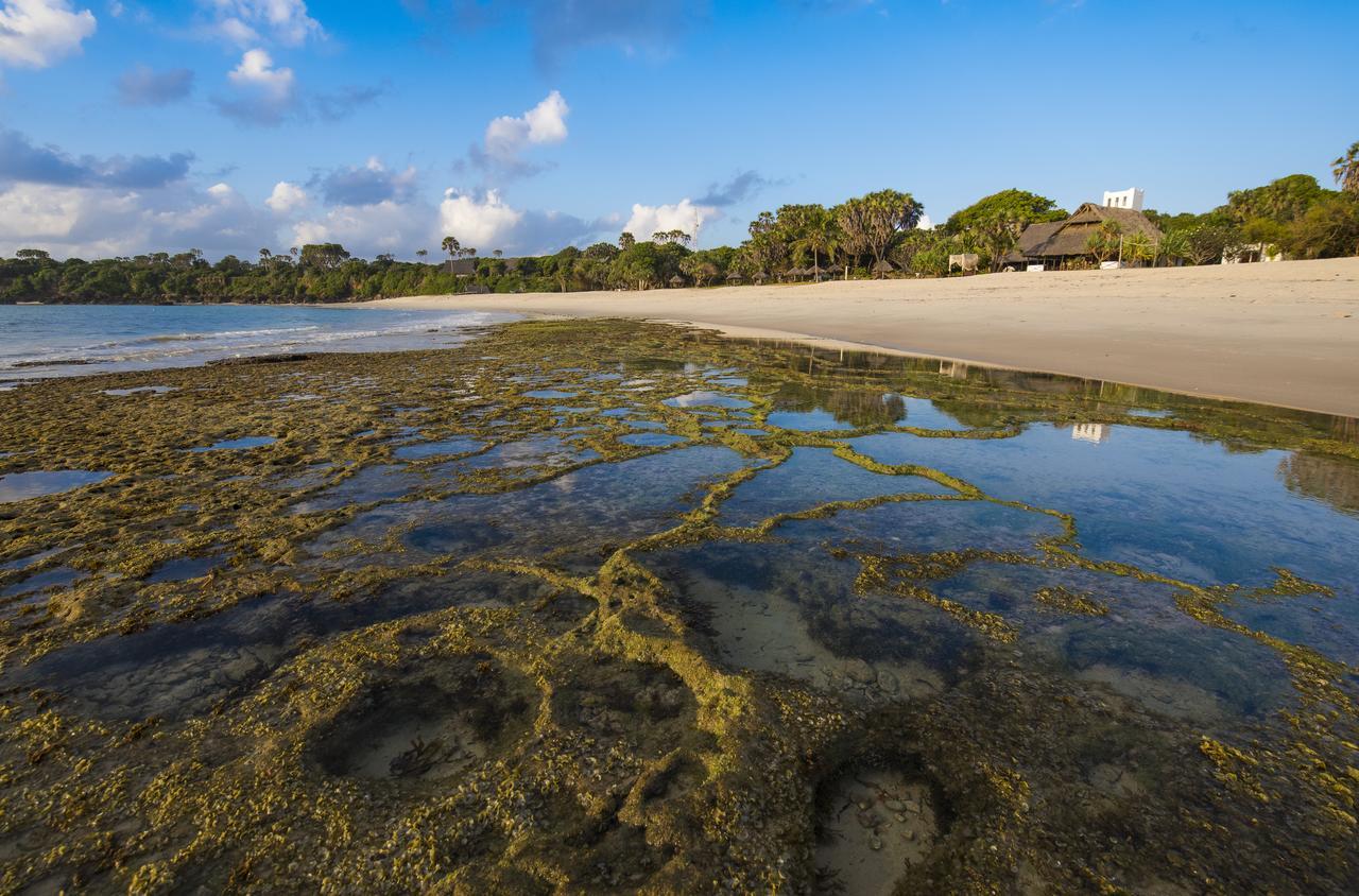 Amani Beach Resort Kutani Eksteriør billede